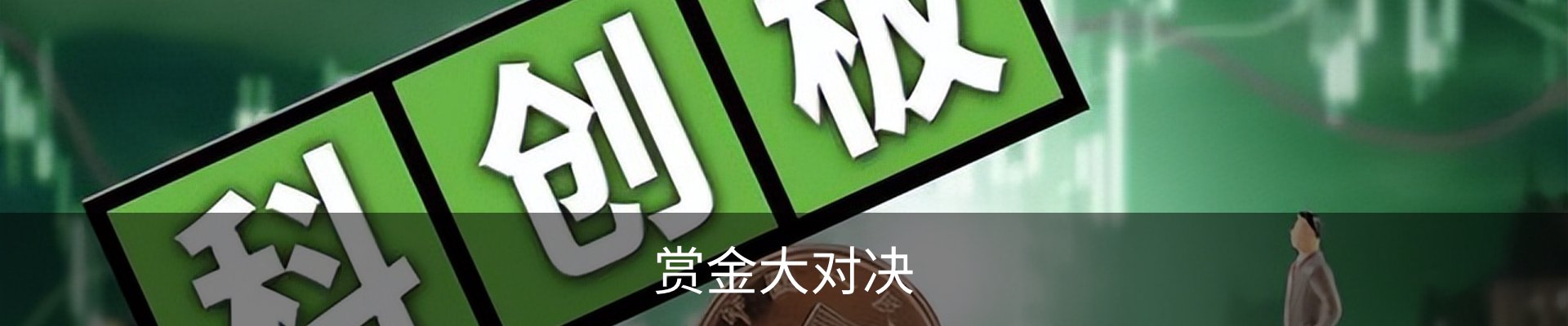 赏金大对决